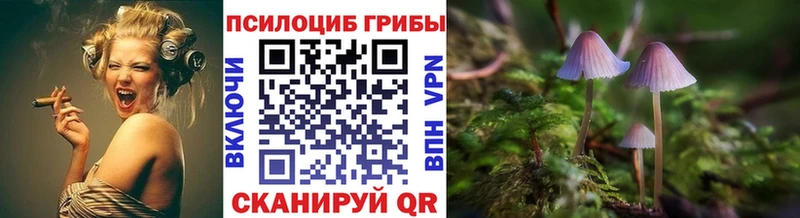 Галлюциногенные грибы прущие грибы дарнет шоп Южа