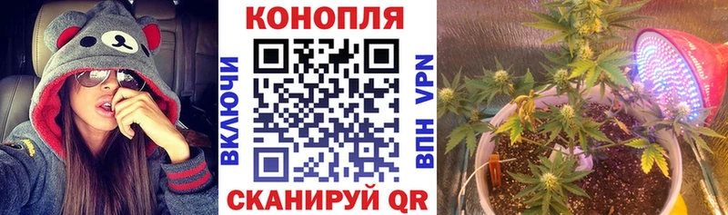 Бошки марихуана план  где найти наркотики  Южа 